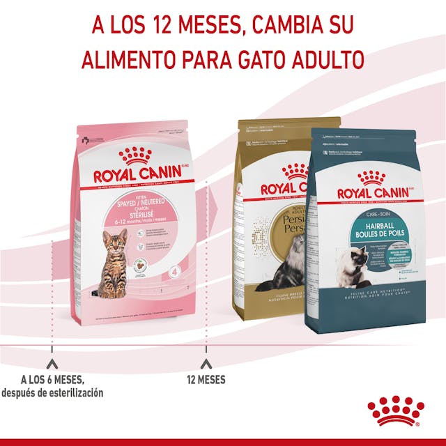 Royal Canin Kitten Spayed / Neutered 1.14 Kg - Alimento para Gatito Royal Canin Kitten Spayed / Neutered 1.14 Kg - Alimento para Gatito